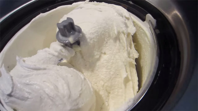 Cuisinart ICE-100 Compressor Ice Cream & Gelato Maker Video Review by DJG fun